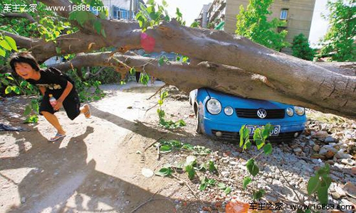 台风天司机驾车该注意什么?保持良好视野_安
